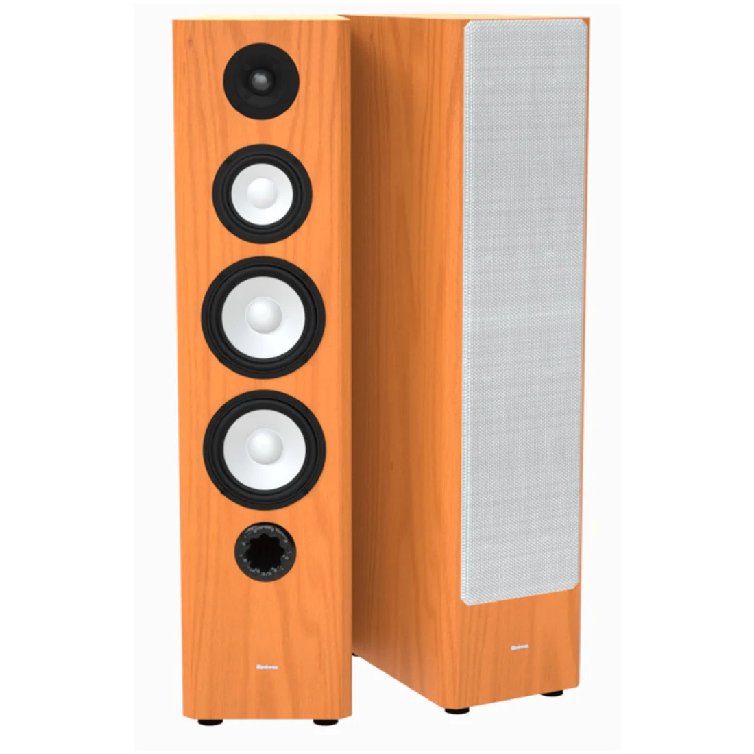 Axiom M60 Floor Standing Speakers - Pair (M60) - Image 14