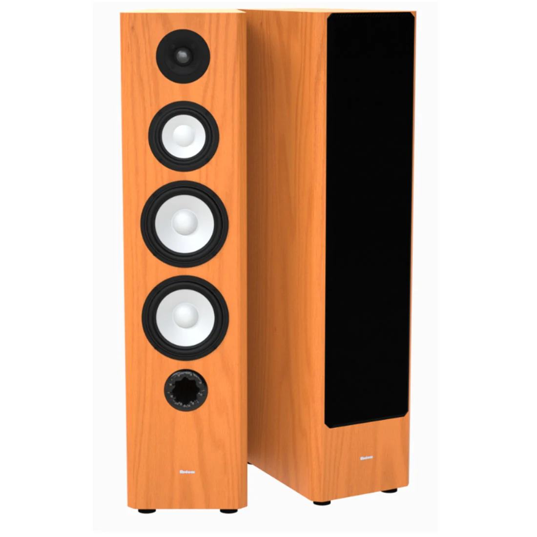 Axiom M60 Floor Standing Speakers - Pair (M60) - Image 15