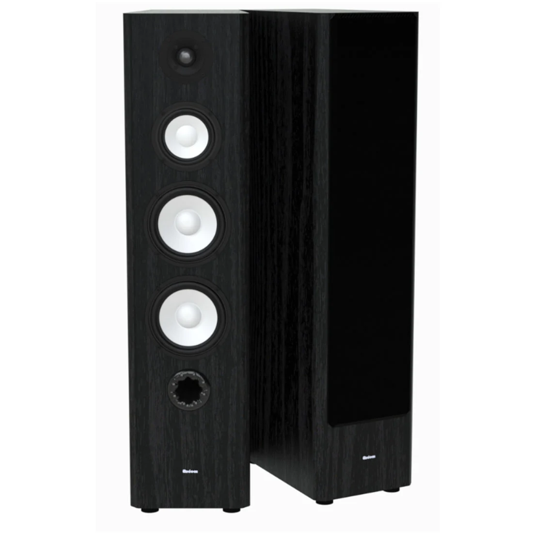 Axiom M60 Floor Standing Speakers - Pair (M60) - Image 8