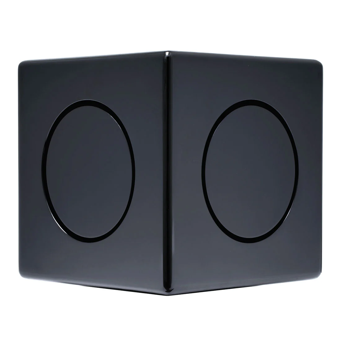 Earthquake Sound MiniMe DSP P63B 6.5" Micro Powered Subwoofer (Mini Me DSP P63B)
