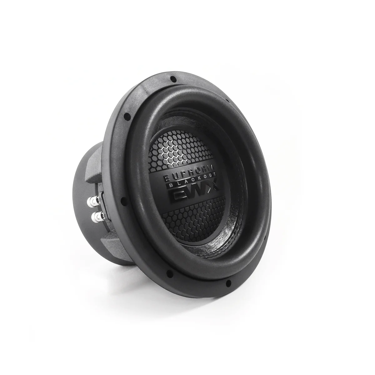 Euphoria EWXB10D2 10" 1000W 2-Ohm DVC Subwoofer (EWXB10D2) - Image 3