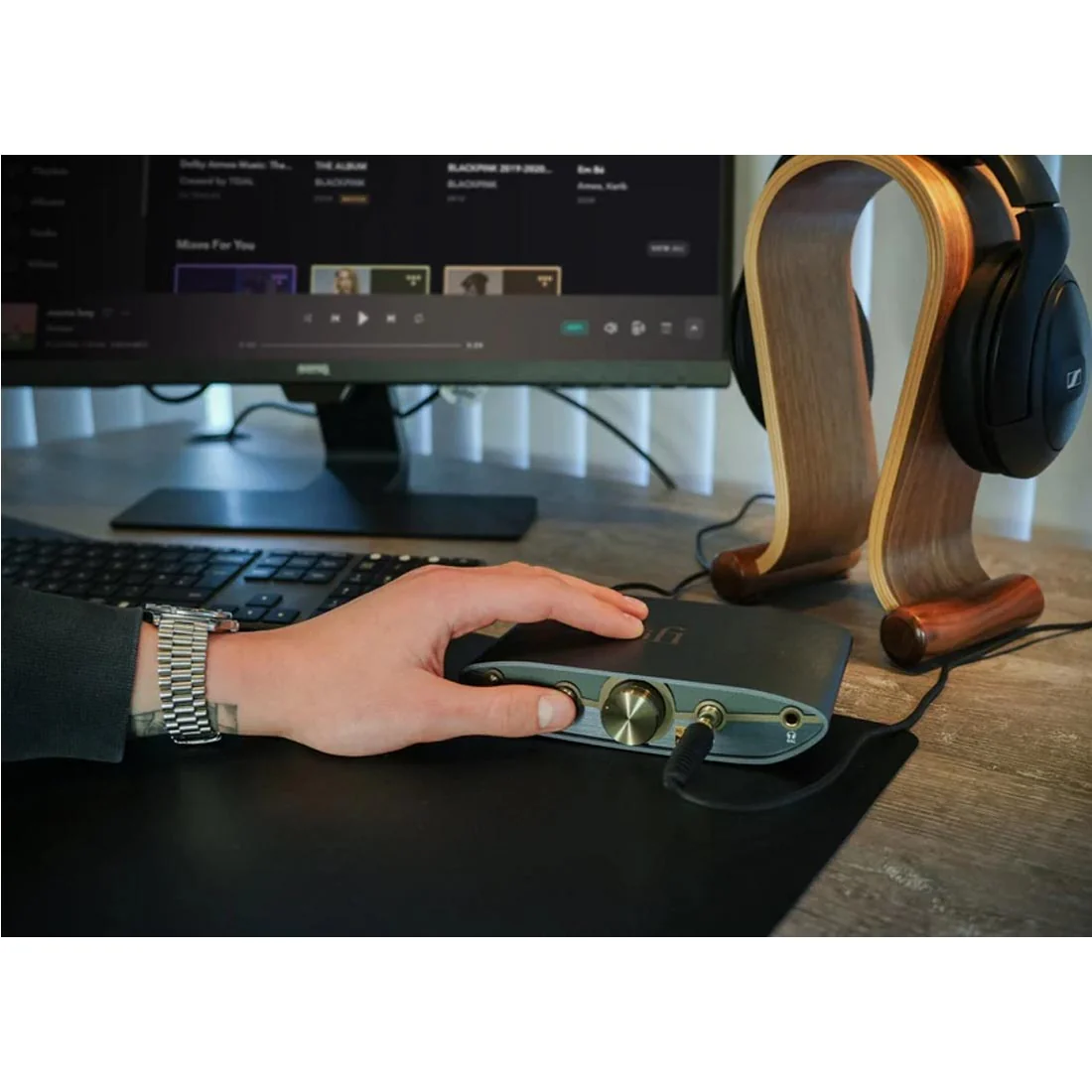 iFi 0311018 ZEN DAC 3 High-End DAC and Headphone Amplifier - Image 10