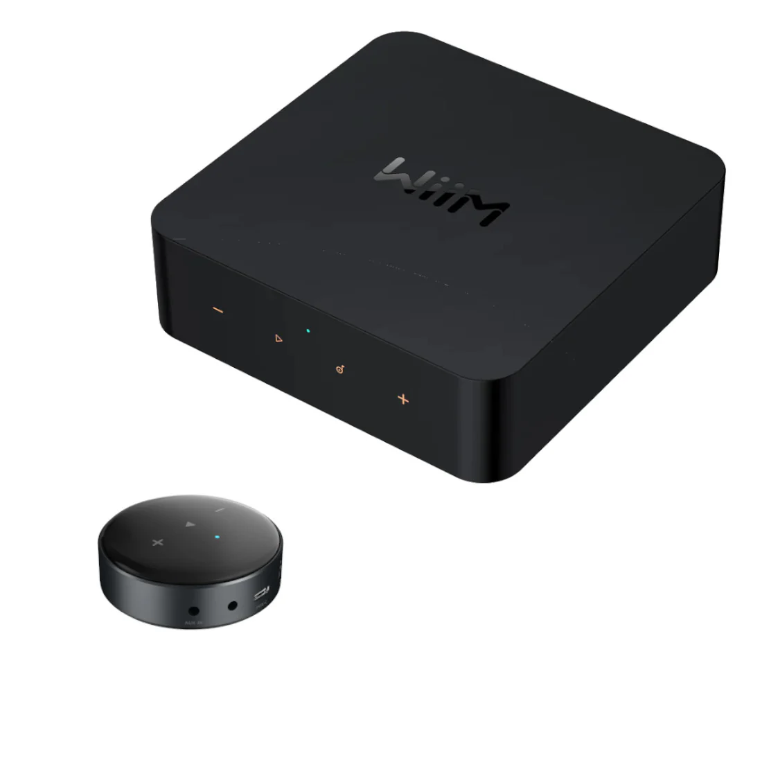 WiiM Pro & WiiM Mini Multiroom Audio Streaming Bundle