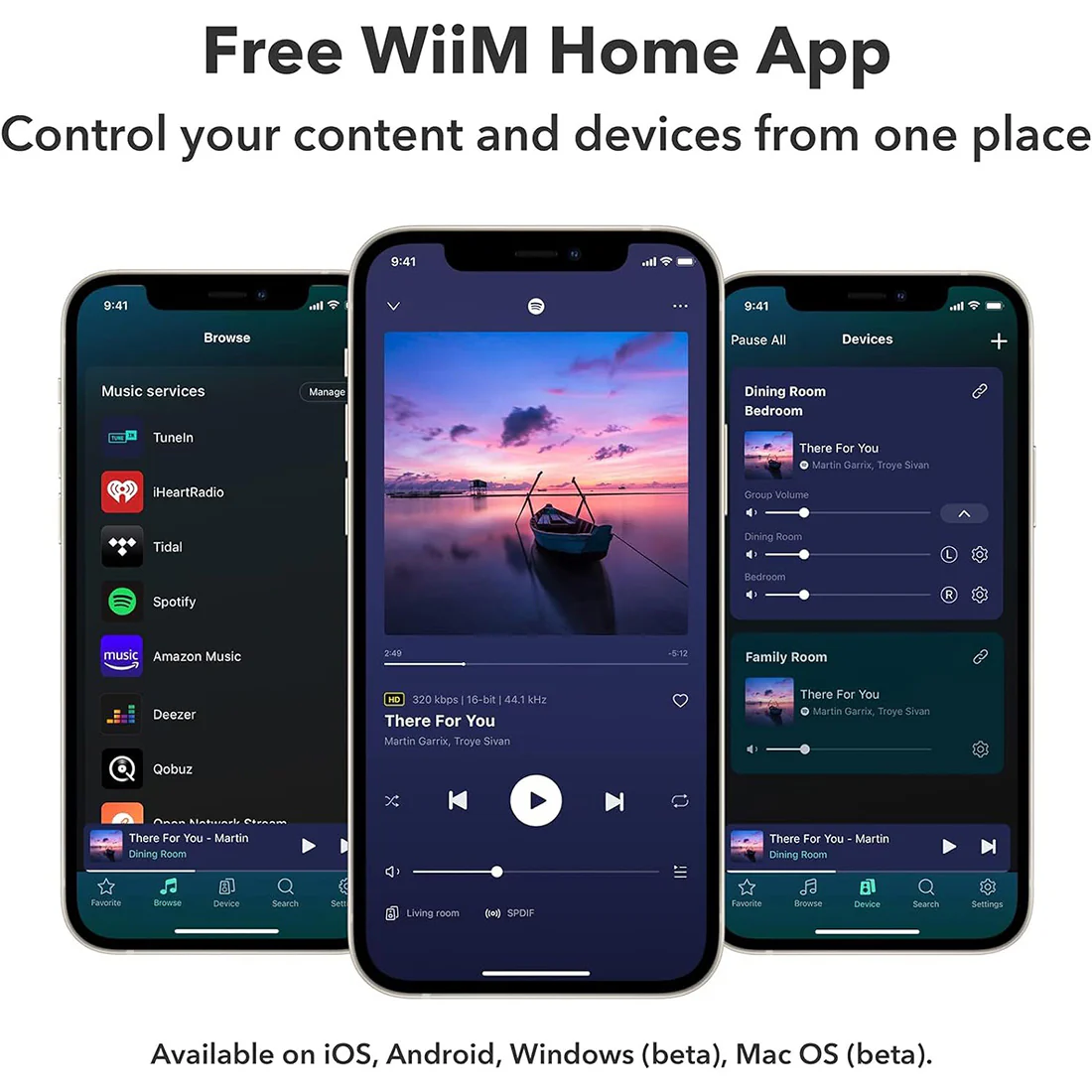 WiiM Pro & WiiM Mini Multiroom Audio Streaming Bundle - Image 11